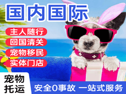 朝阳川机场货运国际宠物托运 【国